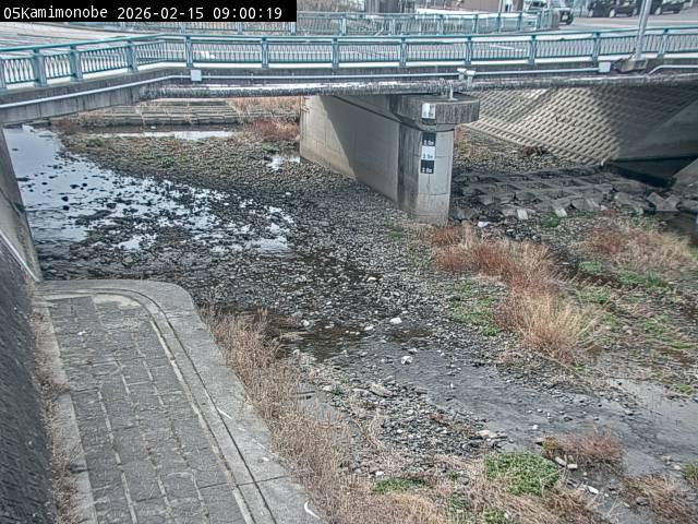 最新監視カメラ画像