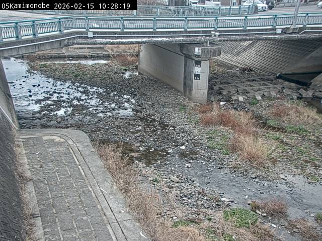 最新監視カメラ画像