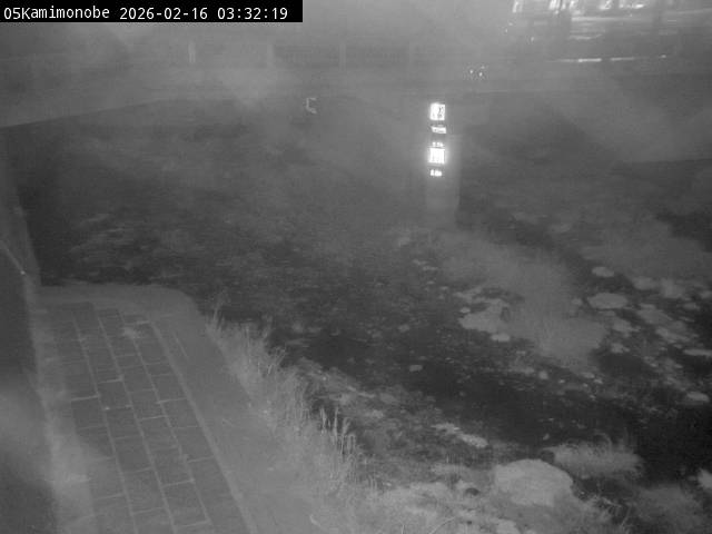 最新監視カメラ画像