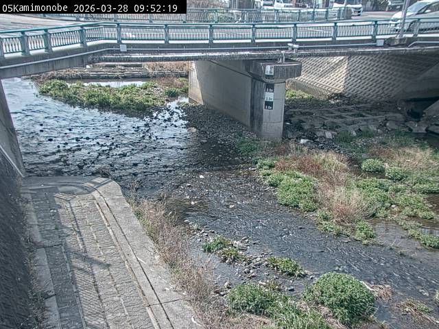 最新監視カメラ画像