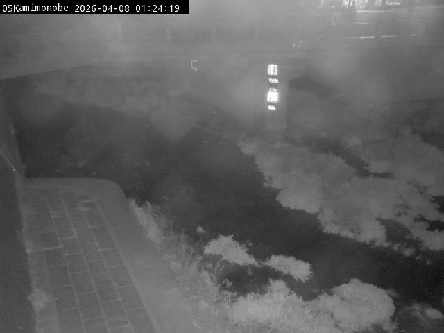 最新監視カメラ画像