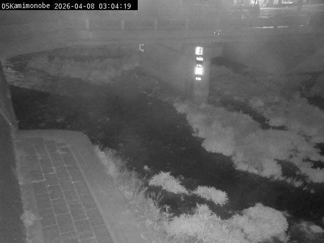 最新監視カメラ画像