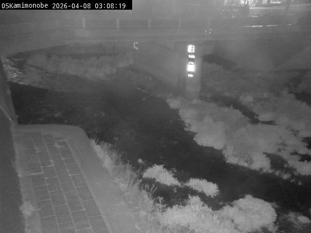 最新監視カメラ画像