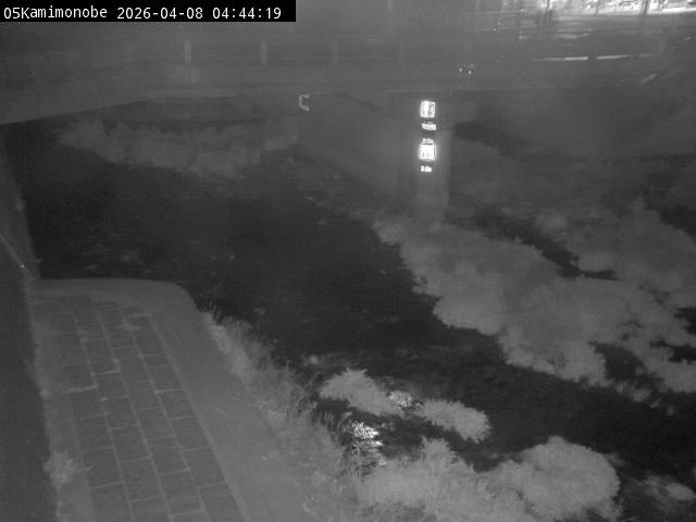 最新監視カメラ画像