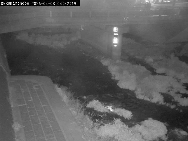 最新監視カメラ画像