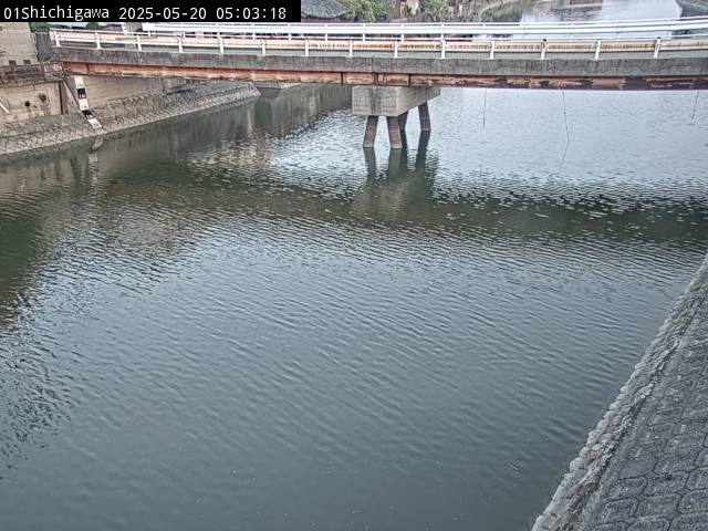 最新監視カメラ画像
