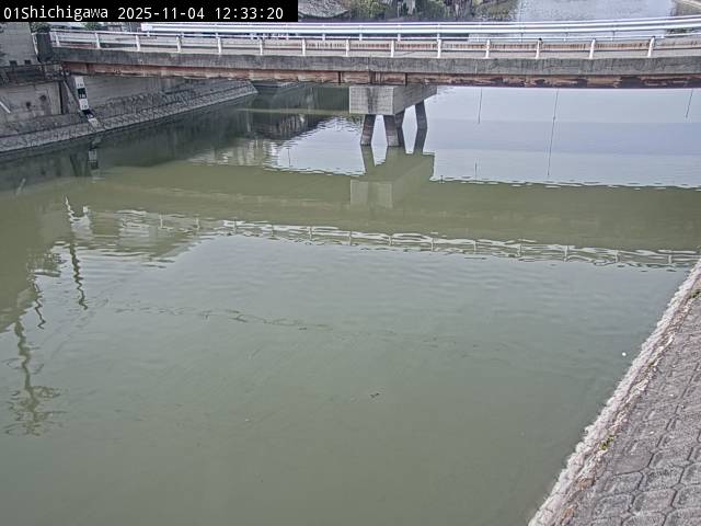 最新監視カメラ画像