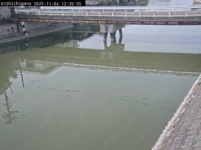 最新監視カメラ画像