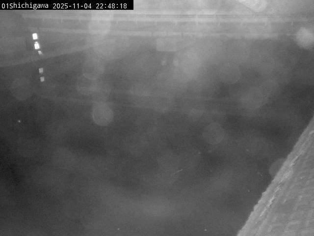 最新監視カメラ画像