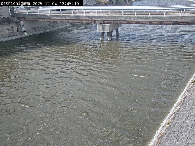 最新監視カメラ画像