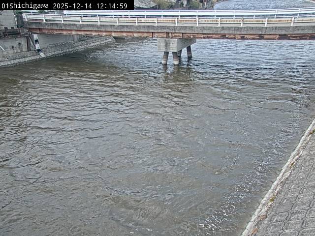 最新監視カメラ画像