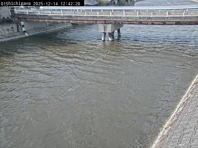 最新監視カメラ画像