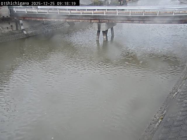 最新監視カメラ画像