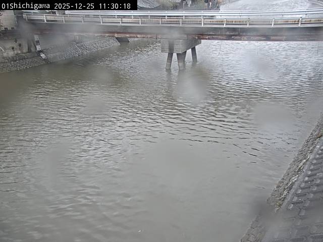 最新監視カメラ画像