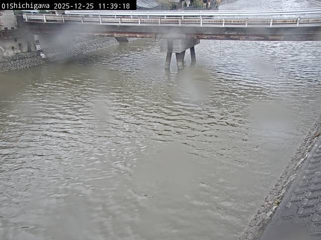 最新監視カメラ画像