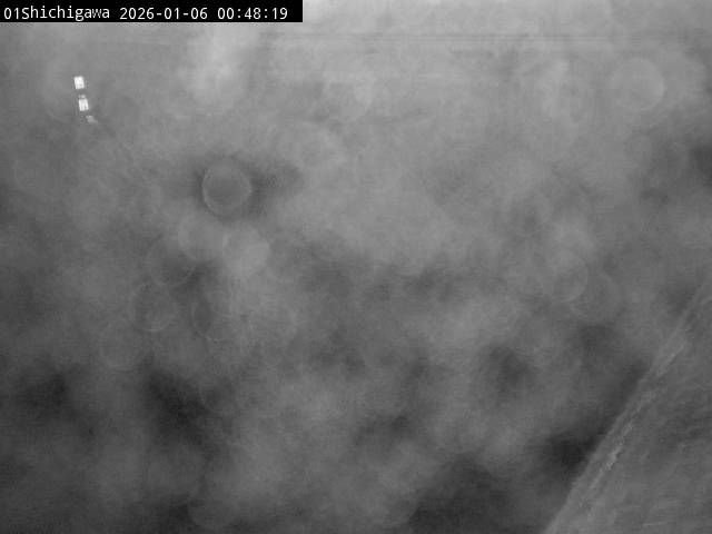 最新監視カメラ画像