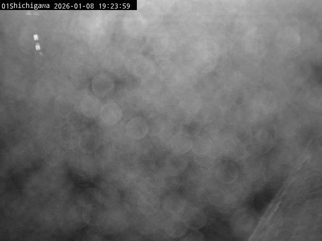 最新監視カメラ画像