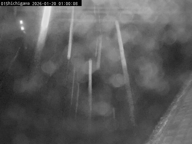 最新監視カメラ画像