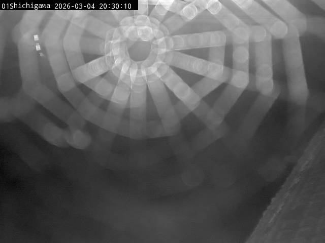 最新監視カメラ画像