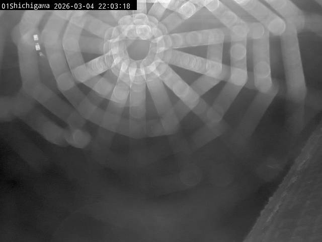 最新監視カメラ画像