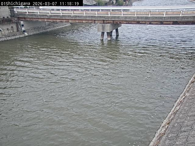 最新監視カメラ画像