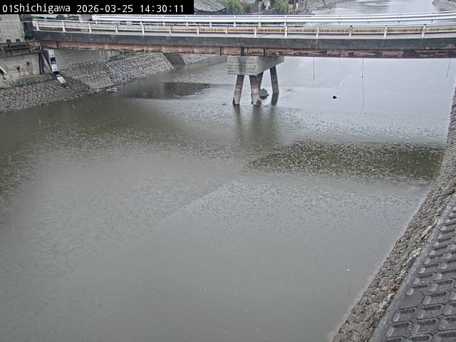 最新監視カメラ画像