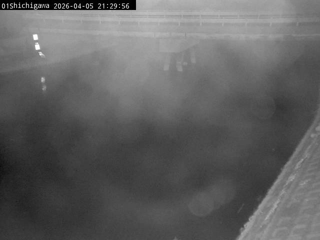 最新監視カメラ画像