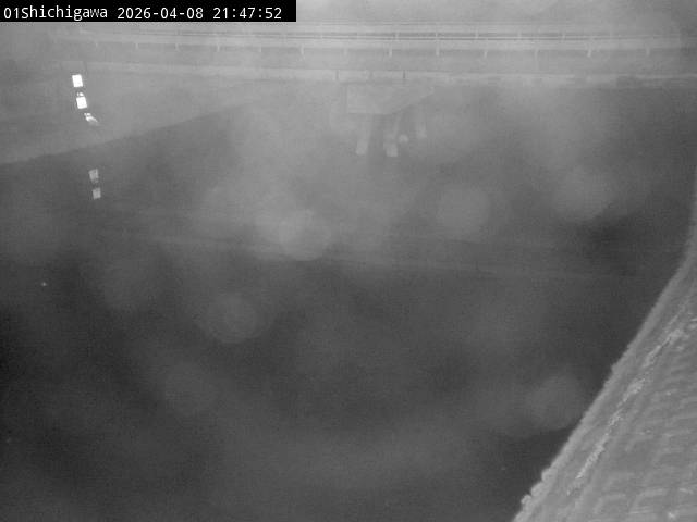 最新監視カメラ画像