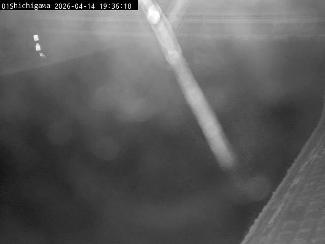 最新監視カメラ画像