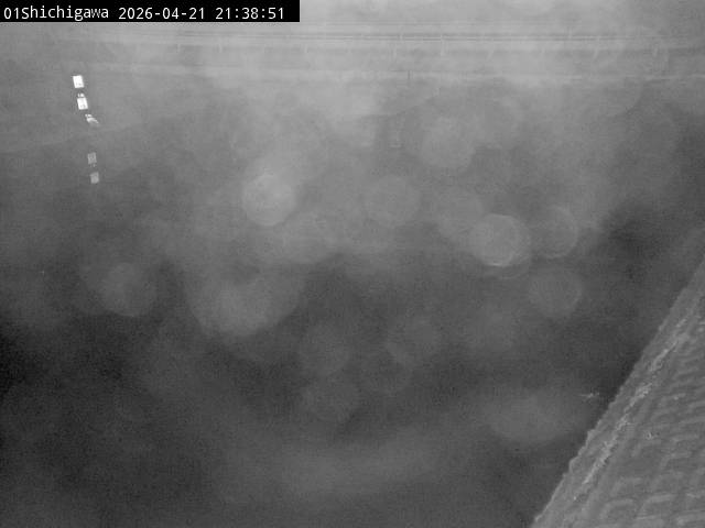 最新監視カメラ画像