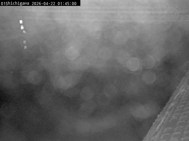 最新監視カメラ画像