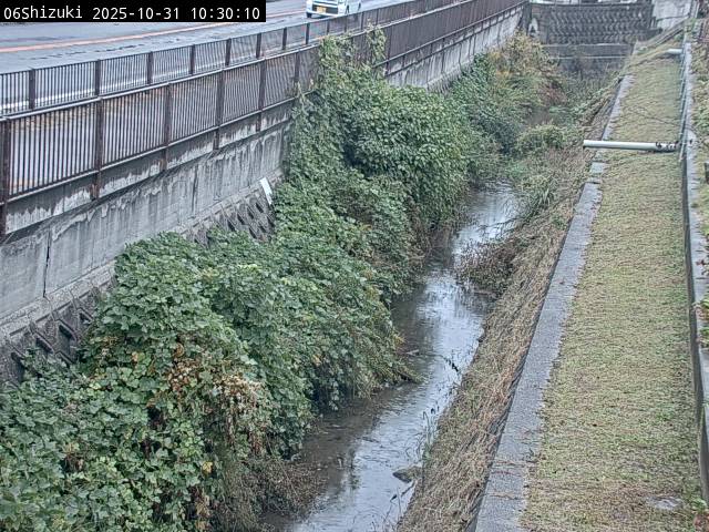 最新監視カメラ画像