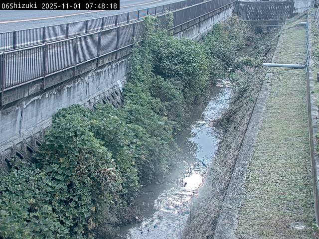 最新監視カメラ画像