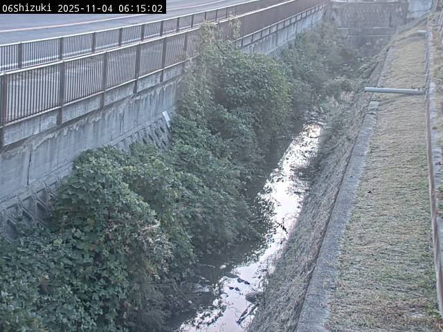 最新監視カメラ画像