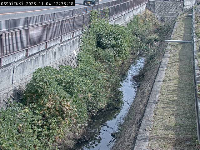 最新監視カメラ画像