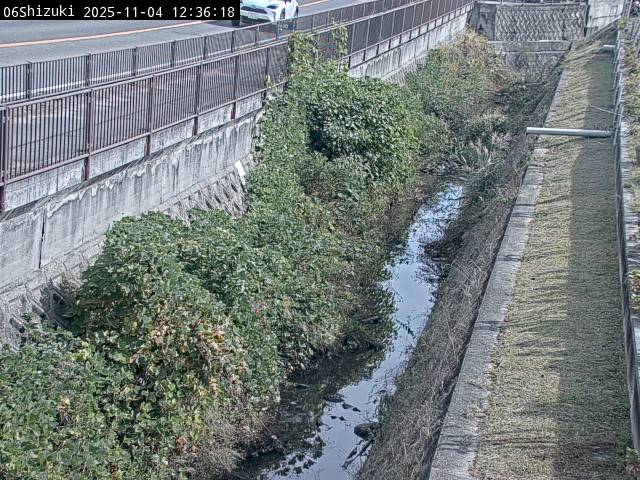 最新監視カメラ画像