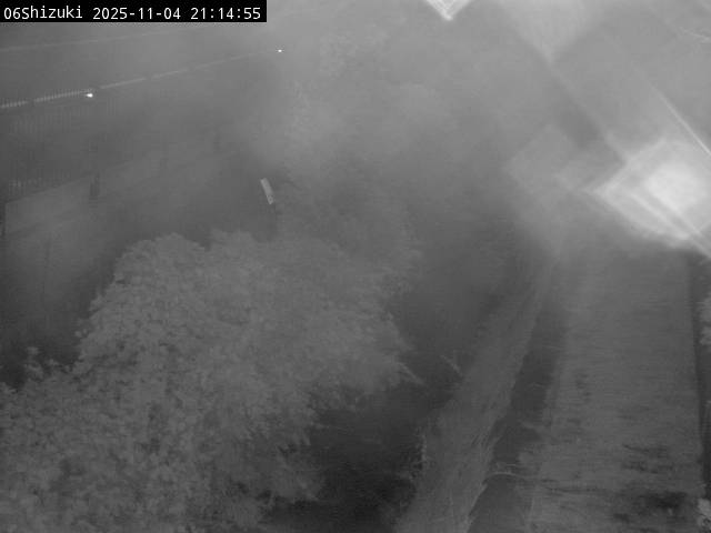 最新監視カメラ画像