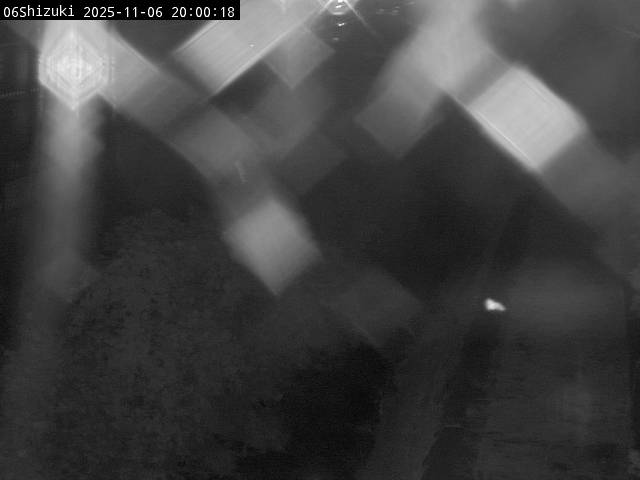 最新監視カメラ画像