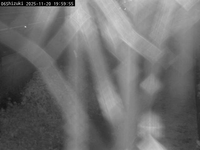 最新監視カメラ画像