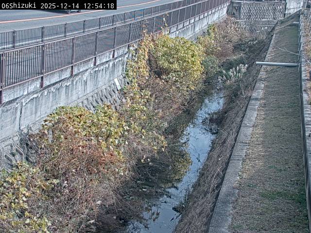 最新監視カメラ画像