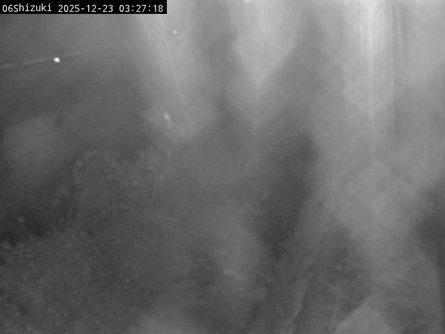 最新監視カメラ画像