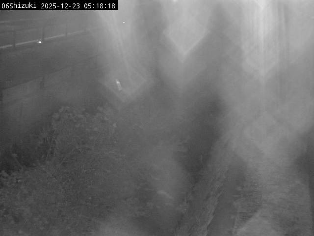 最新監視カメラ画像