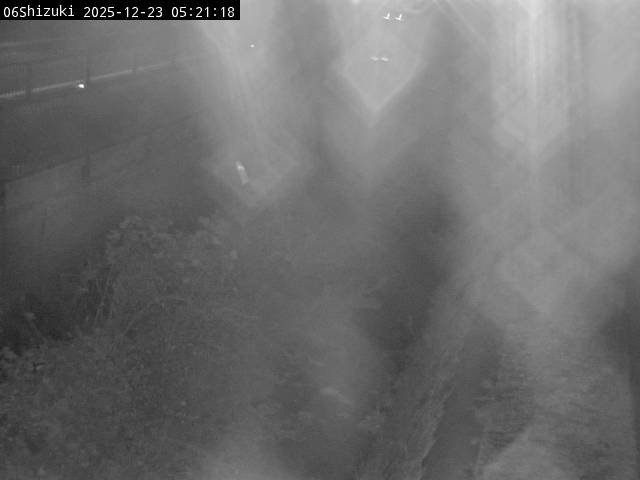 最新監視カメラ画像