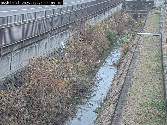 最新監視カメラ画像