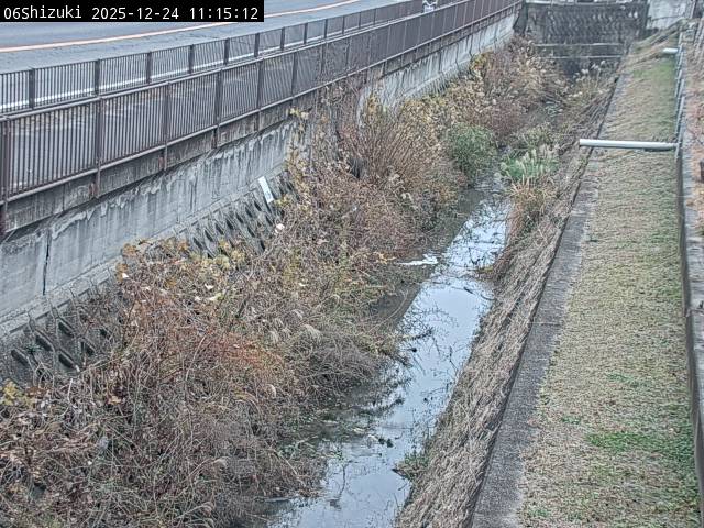 最新監視カメラ画像