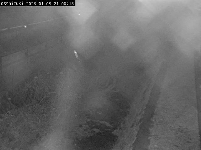 最新監視カメラ画像