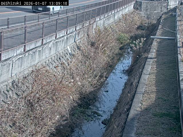 最新監視カメラ画像