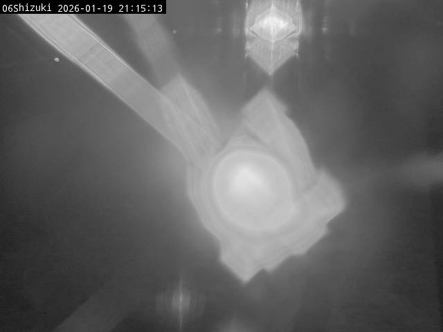 最新監視カメラ画像