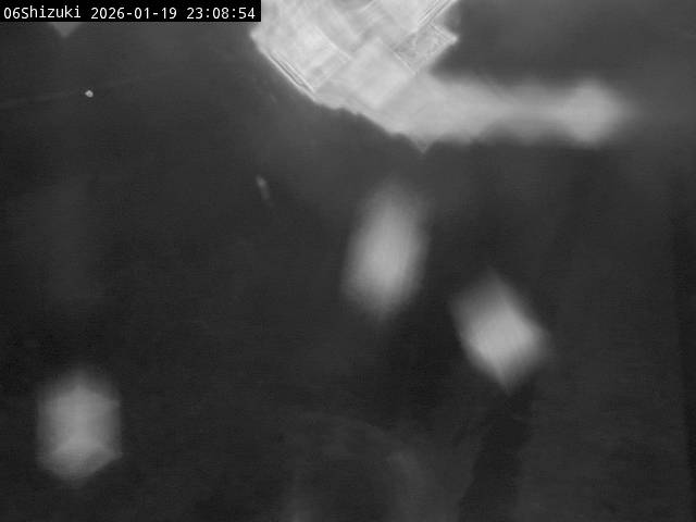 最新監視カメラ画像