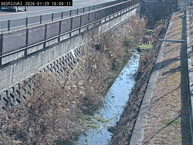 最新監視カメラ画像